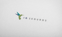 Ig seguros