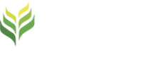 Jottapar participações s/a