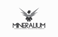 Mineralium engenharia mineral geologia e meio ambiente