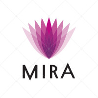 Mira sistemas