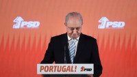 Liderança do psd na câmara