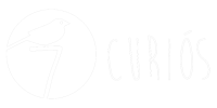Sete curiós - produtora de conteúdo audiovisual