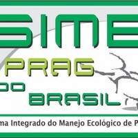 Sime prag do brasil