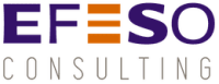 Efeso consulting brasil