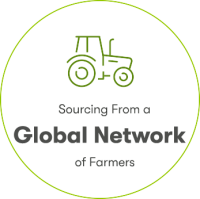 South agrobusiness international
