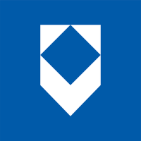 Villares metals international
