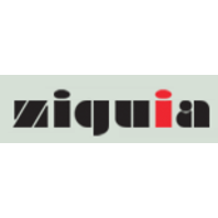 Ziguia engenharia