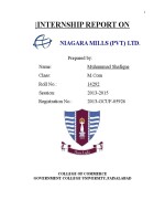 Niagara Mills (Pvt.) Ltd.
