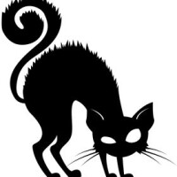 Alma de gato filmes