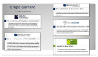 Grupo brasilinvest s.a.