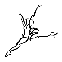Capezio