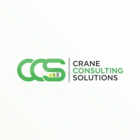 Ccs it consulting