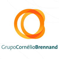 Cimento portland participações s.a.