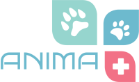 Clinica anima
