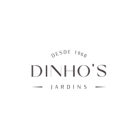Dinho's place