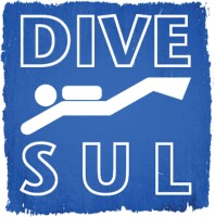 Divesul