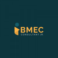 Ibmec consultant jr.