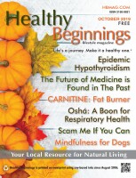 Healthy Beginnings Magazine