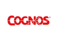 Cognnos - soluções inteligentes