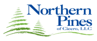 Northern Pines