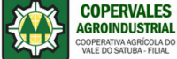 Copervales