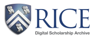 Rice Center for Digital Learning & Scholarship