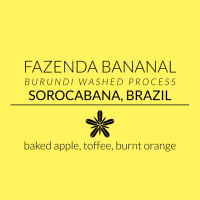 Fazenda bananal