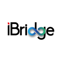 Ibridge