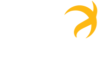 Lumini conhecimento