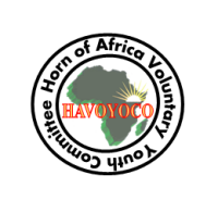 Havoyoco USA