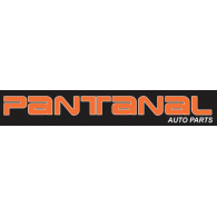 Pantanal auto parts