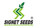 Segnet