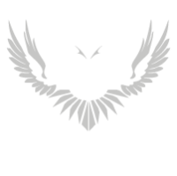 Top formaturas
