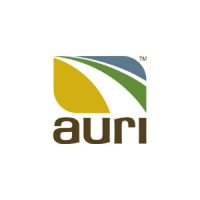Auri