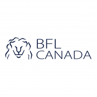 Bfl engenharia