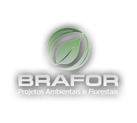 Brafor - projetos ambientais e florestais
