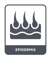 Epidemus