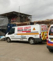 Bruce k9 ltd