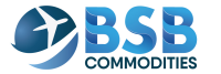 Bsb consultoria