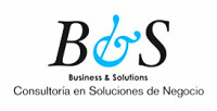 B&s consultoría en soluciones de negocio