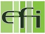 EFI (Exact Finish, Inc.)