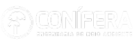 Conífera - engenharia de meio ambiente