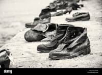 Danibe shoes