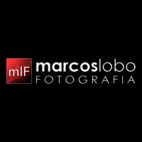 Dornbusch lobo fotografia