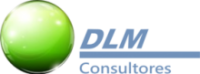 Dlm consultores