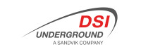 Dsi grupo