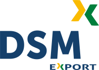 Dsm export