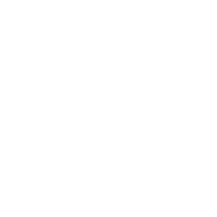 Fiori jeep
