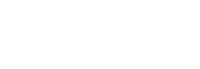 Flir brasil