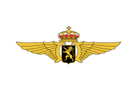 Belgian air force